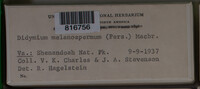 Image Associated With the Occurence